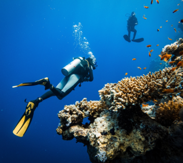 شركة كنوز افضل شركة سفريات و حجز تزاكر في الكويت