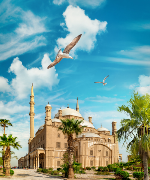 شركة كنوز افضل شركة سفريات و حجز تزاكر في الكويت