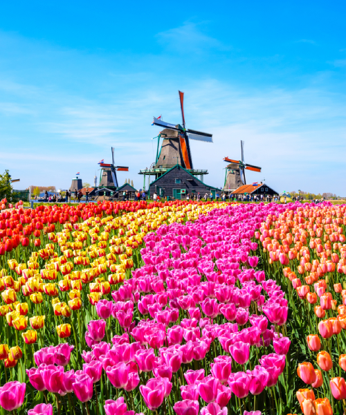 شركة كنوز افضل شركة سفريات و حجز تزاكر في الكويت